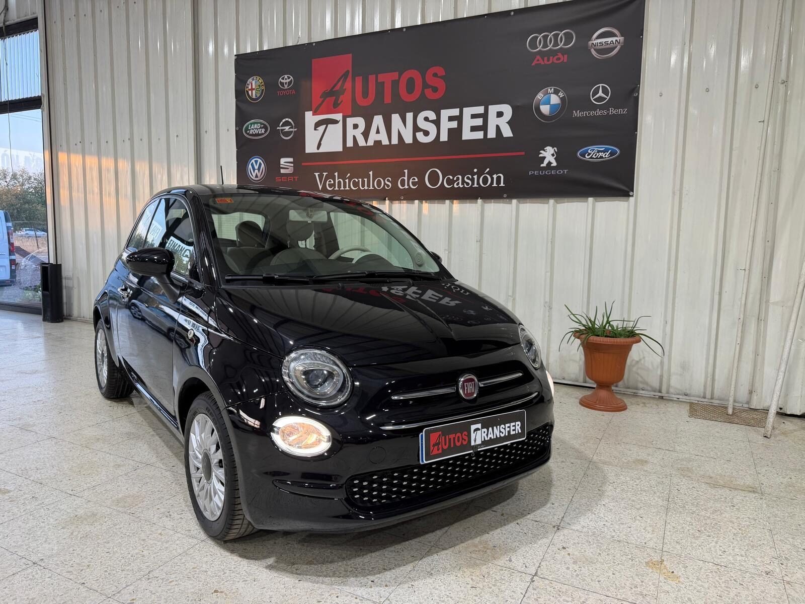 FIAT 500 gasolina